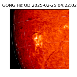 gong - 2025-02-25T04:22:02
