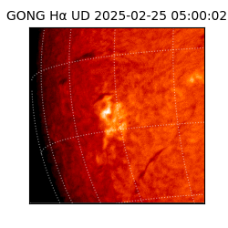 gong - 2025-02-25T05:00:02