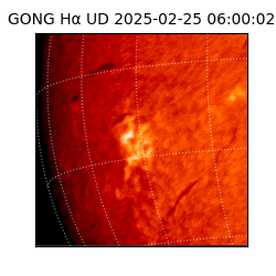 gong - 2025-02-25T06:00:02