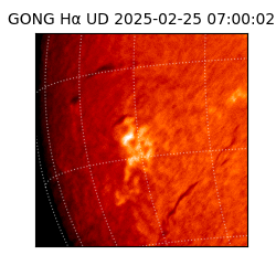 gong - 2025-02-25T07:00:02
