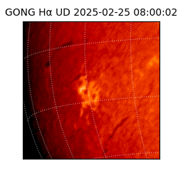 gong - 2025-02-25T08:00:02