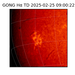 gong - 2025-02-25T09:00:22