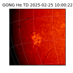 gong - 2025-02-25T10:00:22