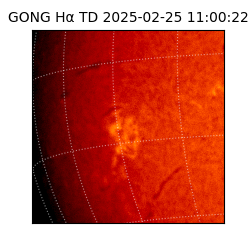 gong - 2025-02-25T11:00:22