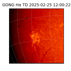 gong - 2025-02-25T12:00:22