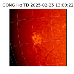 gong - 2025-02-25T13:00:22