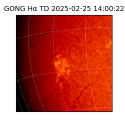gong - 2025-02-25T14:00:22