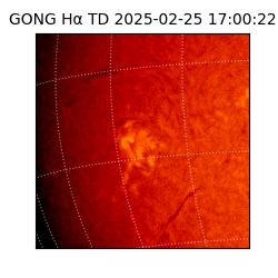 gong - 2025-02-25T17:00:22