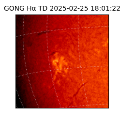gong - 2025-02-25T18:01:22