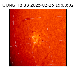 gong - 2025-02-25T19:00:02