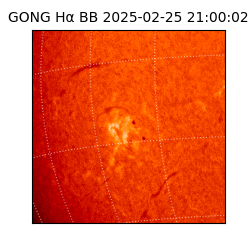 gong - 2025-02-25T21:00:02