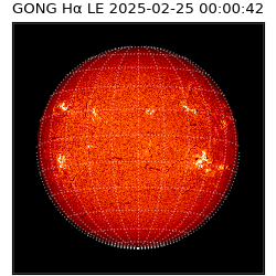 gong - 2025-02-25T00:00:42