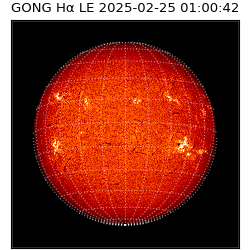 gong - 2025-02-25T01:00:42