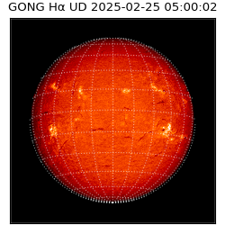 gong - 2025-02-25T05:00:02
