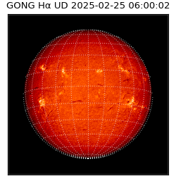 gong - 2025-02-25T06:00:02