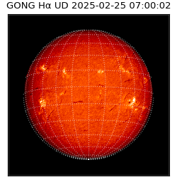 gong - 2025-02-25T07:00:02