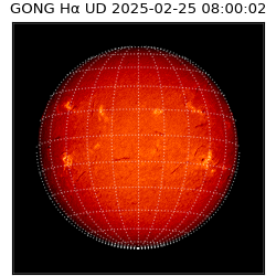gong - 2025-02-25T08:00:02