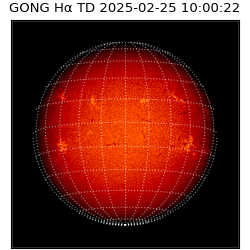gong - 2025-02-25T10:00:22