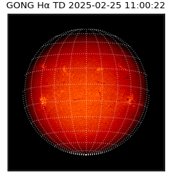 gong - 2025-02-25T11:00:22