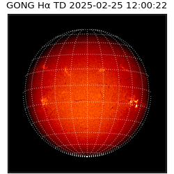 gong - 2025-02-25T12:00:22