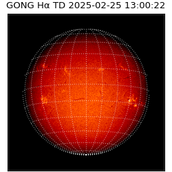 gong - 2025-02-25T13:00:22