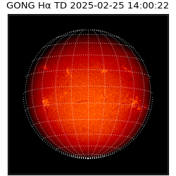 gong - 2025-02-25T14:00:22