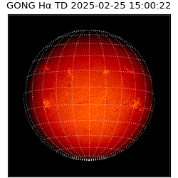 gong - 2025-02-25T15:00:22