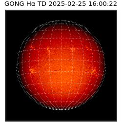 gong - 2025-02-25T16:00:22