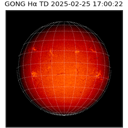 gong - 2025-02-25T17:00:22