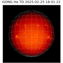 gong - 2025-02-25T18:01:22