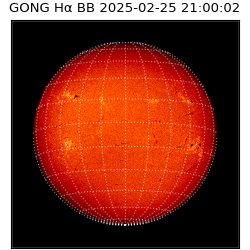 gong - 2025-02-25T21:00:02