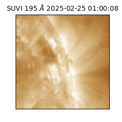 suvi - 2025-02-25T01:00:08.370000