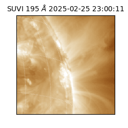 suvi - 2025-02-25T23:00:11.674000