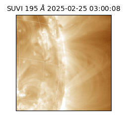 suvi - 2025-02-25T03:00:08.670000