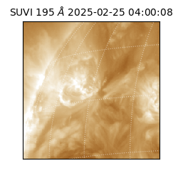 suvi - 2025-02-25T04:00:08.822000