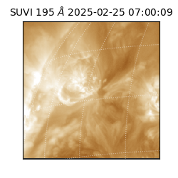 suvi - 2025-02-25T07:00:09.274000