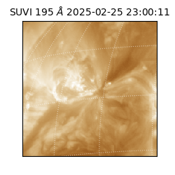 suvi - 2025-02-25T23:00:11.674000