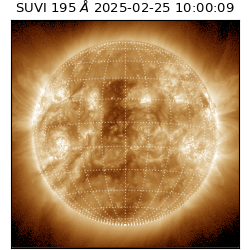 suvi - 2025-02-25T10:00:09.728000