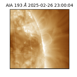 saia - 2025-02-26T23:00:04.842000