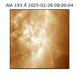 saia - 2025-02-26T08:00:04.842000