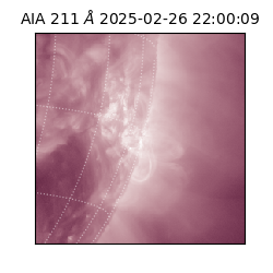 saia - 2025-02-26T22:00:09.626000