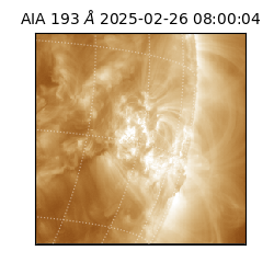 saia - 2025-02-26T08:00:04.842000