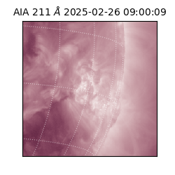 saia - 2025-02-26T09:00:09.626000