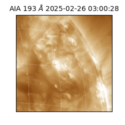 saia - 2025-02-26T03:00:28.846000