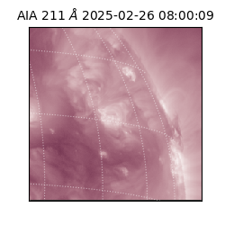 saia - 2025-02-26T08:00:09.630000