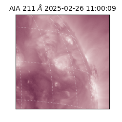 saia - 2025-02-26T11:00:09.633000