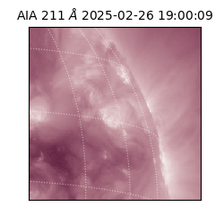 saia - 2025-02-26T19:00:09.626000