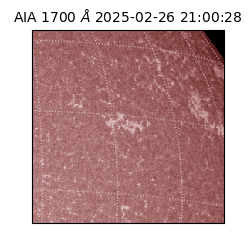 saia - 2025-02-26T21:00:28.717000