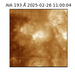 saia - 2025-02-26T11:00:04.843000