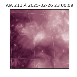 saia - 2025-02-26T23:00:09.630000